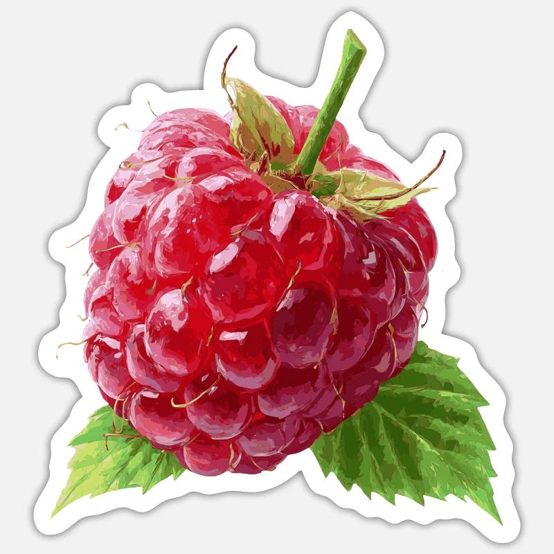 Raspberry - Sticker size S (10 x 10 cm) - white matte