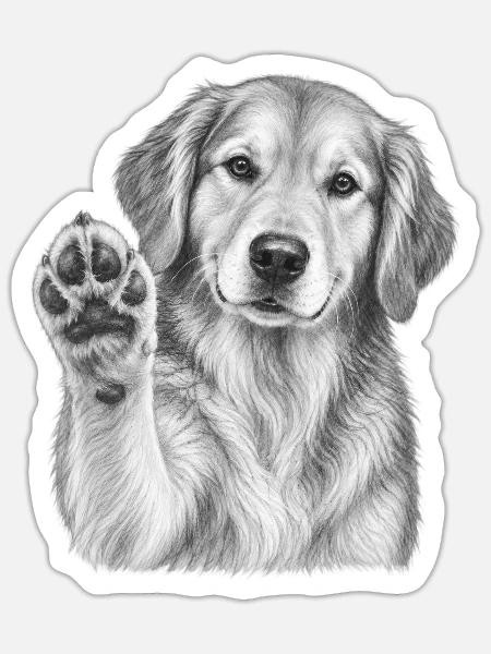 Golden Retriver Hundeporträt - Sticker Größe S (10 x 10 cm) - Mattweiß