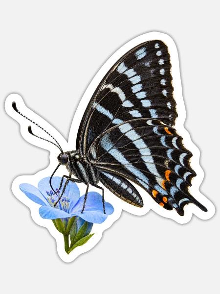 Schmetterling Schwarzer Tiger - Sticker Größe S (10 x 10 cm) - Mattweiß