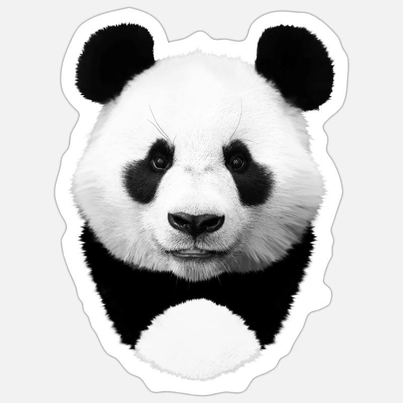 Panda - Sticker Größe S (10 x 10 cm) - Mattweiß