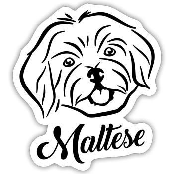 Maltese - Sticker size S (10 x 10 cm) - white matte - Front