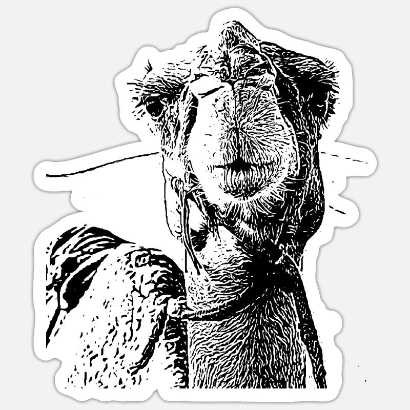 Kamel - Sticker Größe S (10 x 10 cm) - Mattweiß