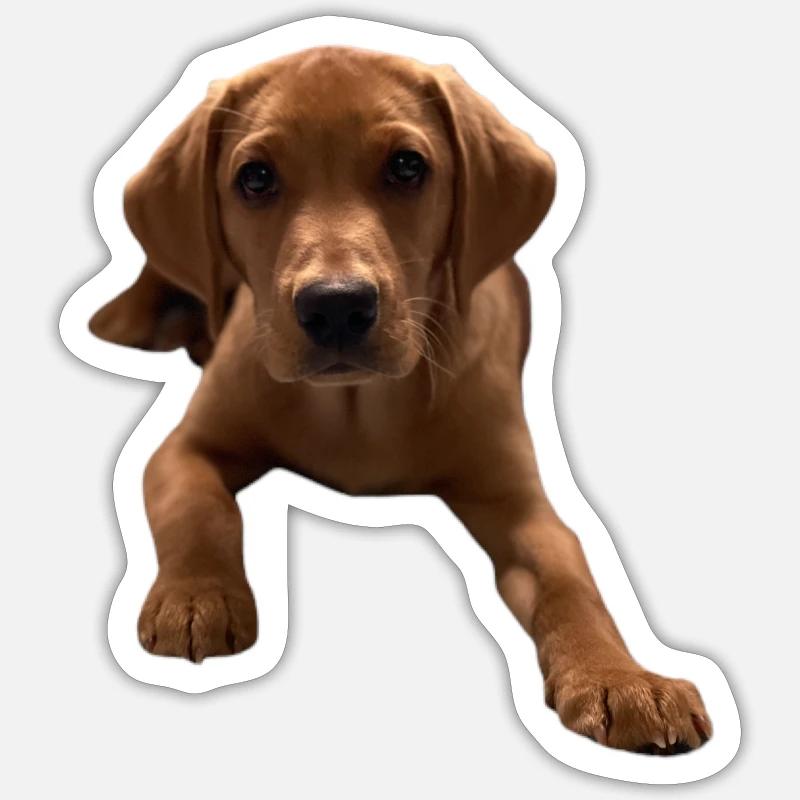 Vers le bas Dexter - Sticker taille S (10 x 10 cm) - blanc mat