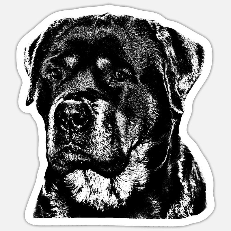 Sticker formato S (10 x 10 cm) - 
