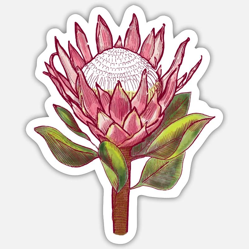 Protea - Sticker taille S (10 x 10 cm) - blanc mat