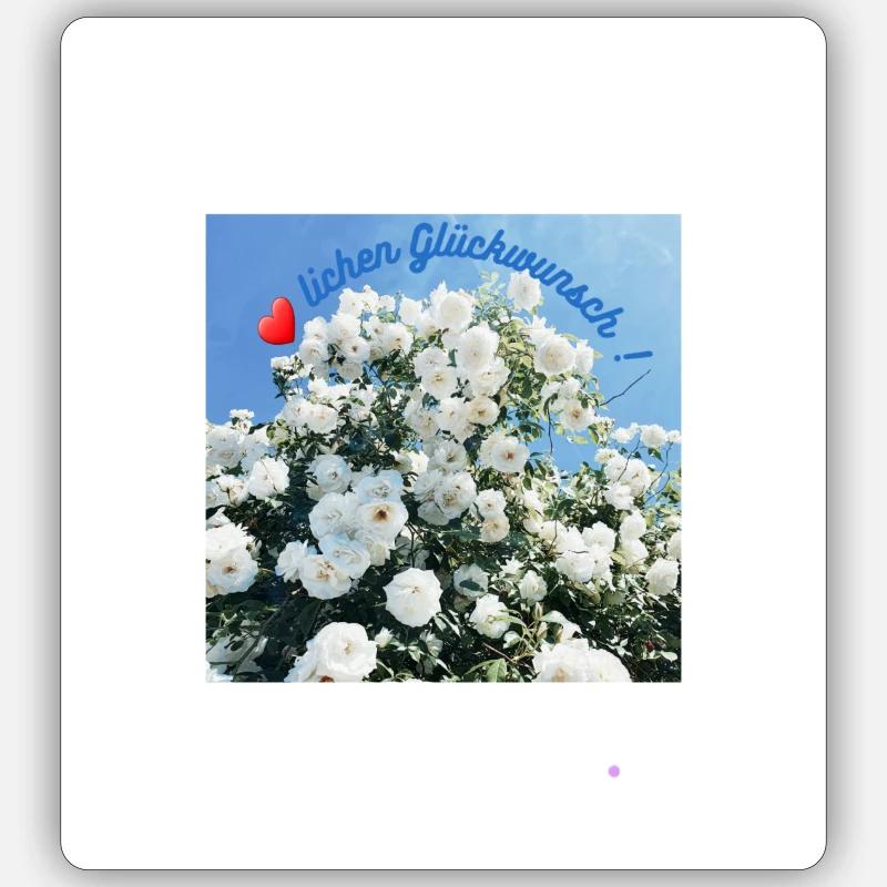Congratulations - Sticker size S (10 x 10 cm) - white matte