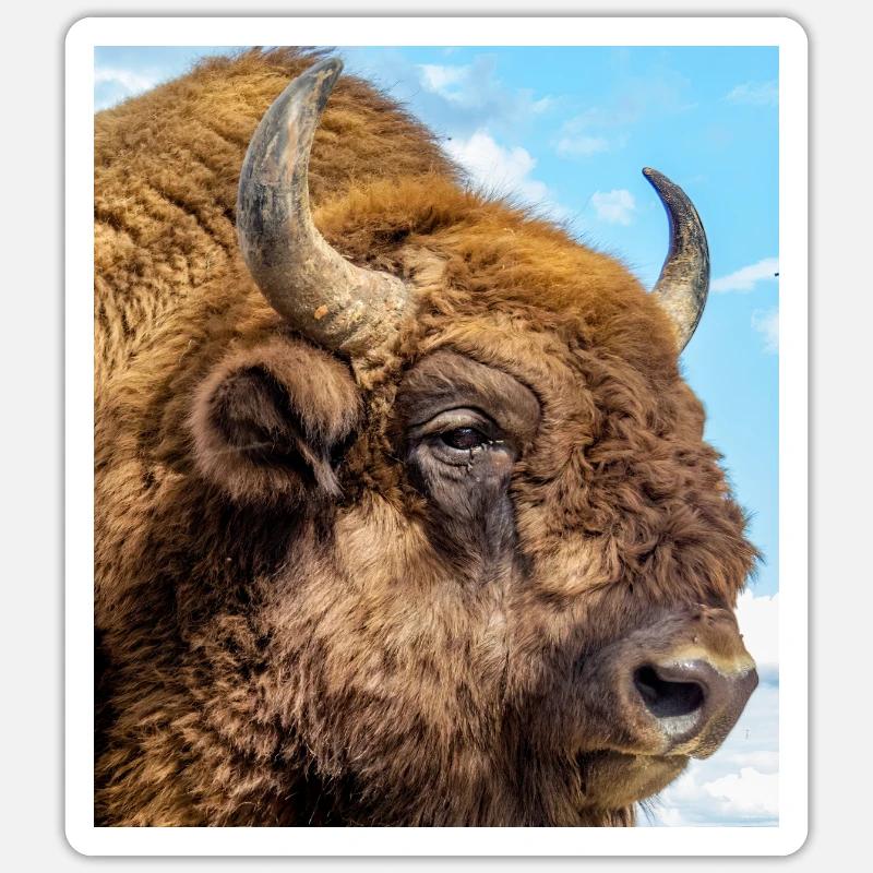 Bison d’europe - Sticker taille S (10 x 10 cm) - blanc mat