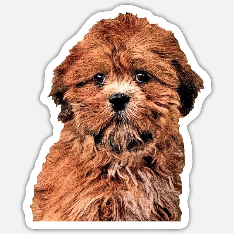 lhasa apso - Sticker taille S (10 x 10 cm) - blanc mat
