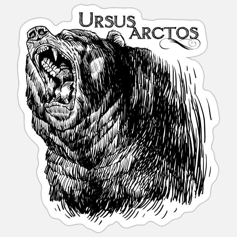 OURS BRUN - Sticker taille S (10 x 10 cm) - blanc mat