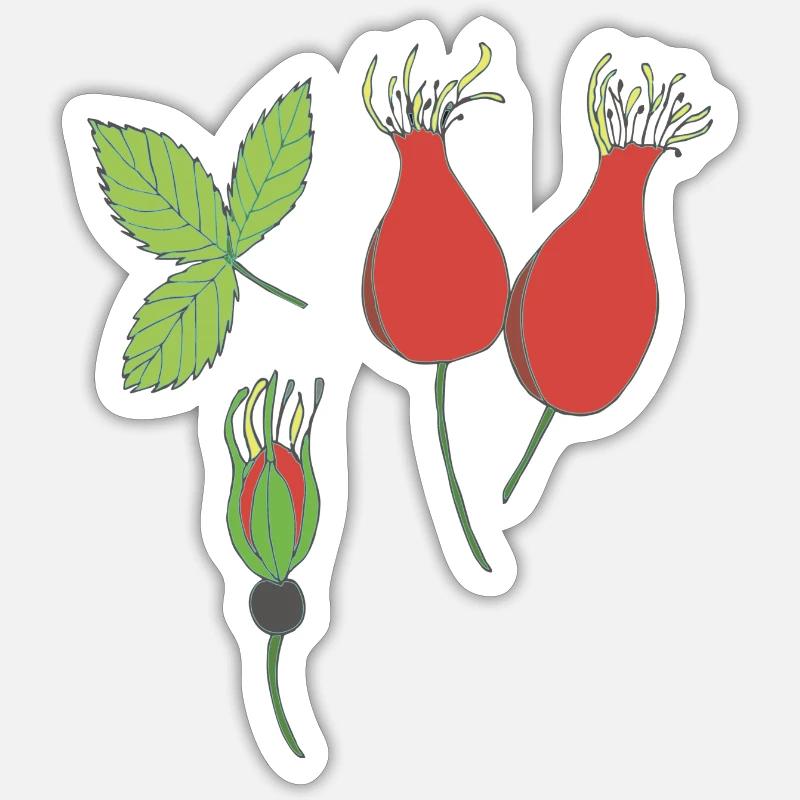 rose hip - Sticker size S (10 x 10 cm) - white matte
