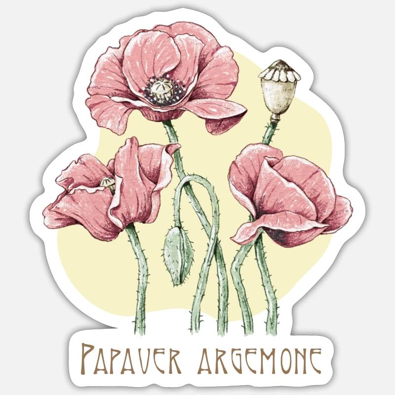 Mohn Sand botanische Zeichnung - Sticker Größe S (10 x 10 cm) - Mattweiß