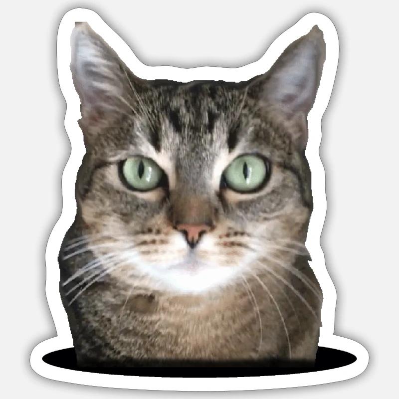 Kitty dans un cercle - Sticker taille S (10 x 10 cm) - blanc mat