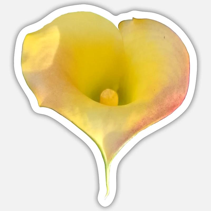 LYS CALLA JAUNE - Sticker taille S (10 x 10 cm) - blanc mat