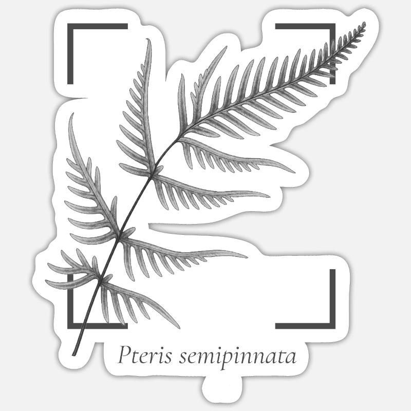Fern leaf (Pteris semipinnata) - Sticker size S (10 x 10 cm) - white matte