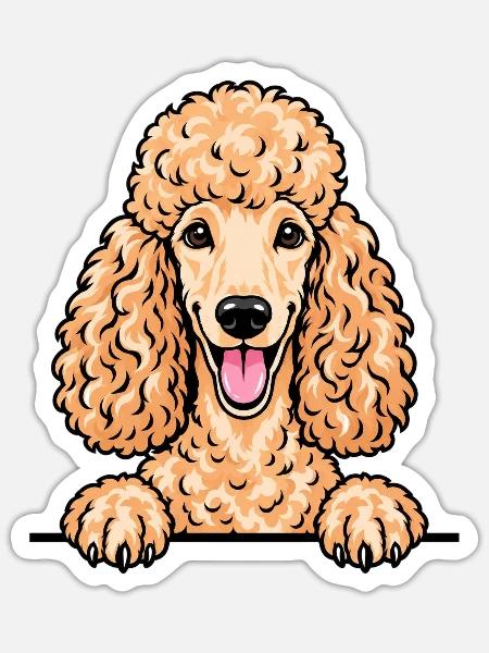 Pudel - Sticker Größe S (10 x 10 cm) - Mattweiß