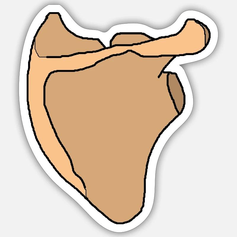 Schulterblatt Scapula Anatomie Skelett Knochen - Sticker Größe S (10 x 10 cm) - Mattweiß