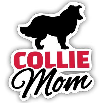 Collie - Sticker Größe S (10 x 10 cm) - Mattweiß - Vorne