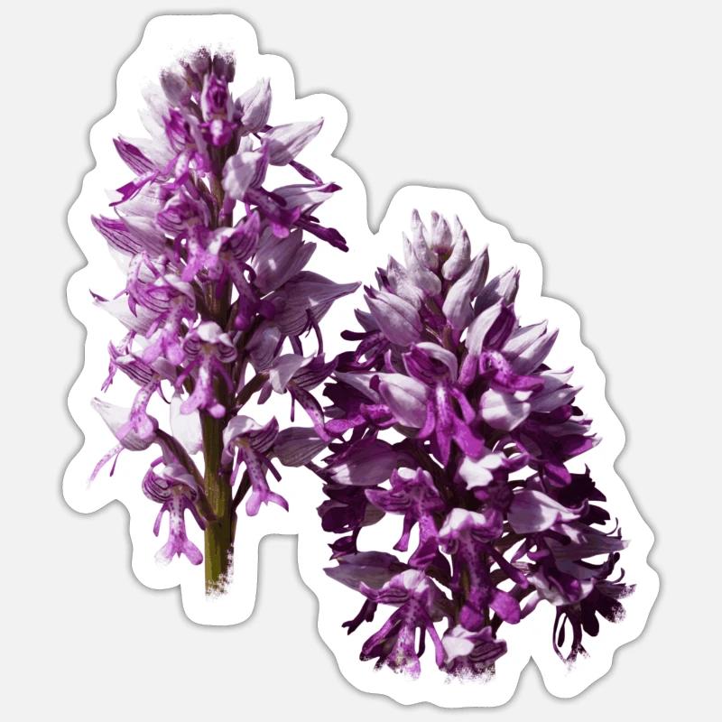 Das Knabenkraut ist eine heimische Orchidee - Sticker Größe S (10 x 10 cm) - Mattweiß