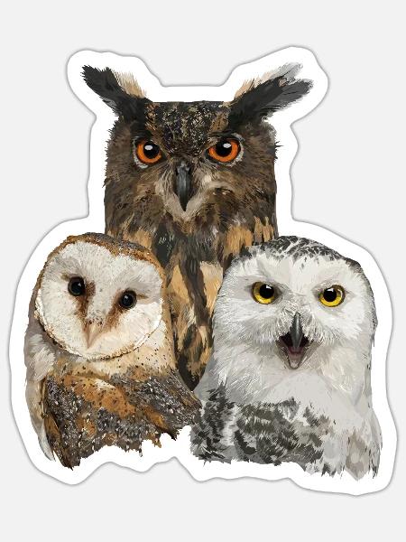 Owls - Sticker size S (10 x 10 cm) - white matte