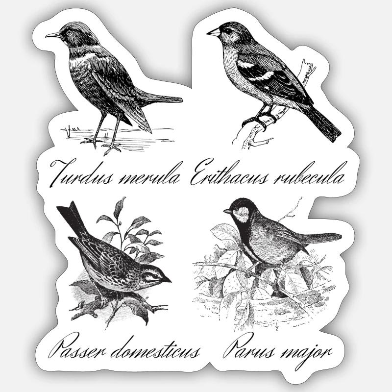 Vögel - Sticker Größe S (10 x 10 cm) - Mattweiß