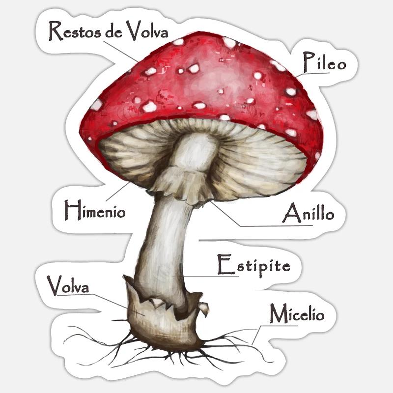 Mushroom - Fly agaric - Sticker size S (10 x 10 cm) - white matte