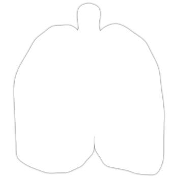 Lungs - Sticker size S (10 x 10 cm) - white matte - Front