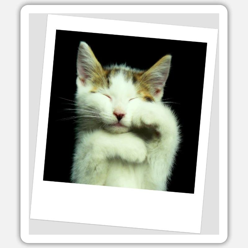 Katze Sticker Größe S (10 x 10 cm)