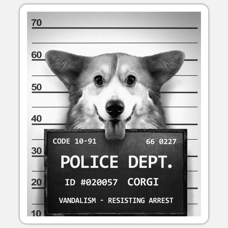 corgi - Sticker size S (10 x 10 cm) - white matte