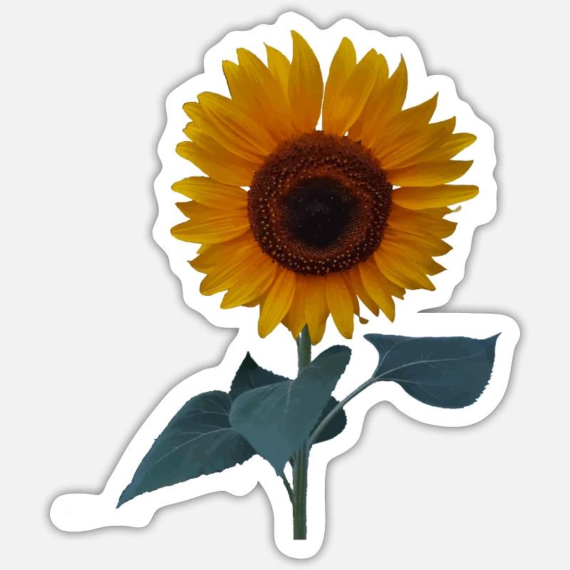 Sunflower - Sticker size S (10 x 10 cm) - white matte