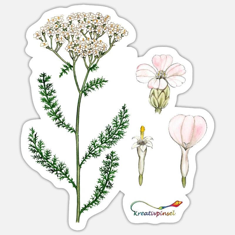 Schafgarbe Sticker Größe S (10 x 10 cm)