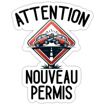 Permis De Conduire Idée Cadeau Humour Auto-École - Sticker taille S (10 x 10 cm) - blanc mat - Devant