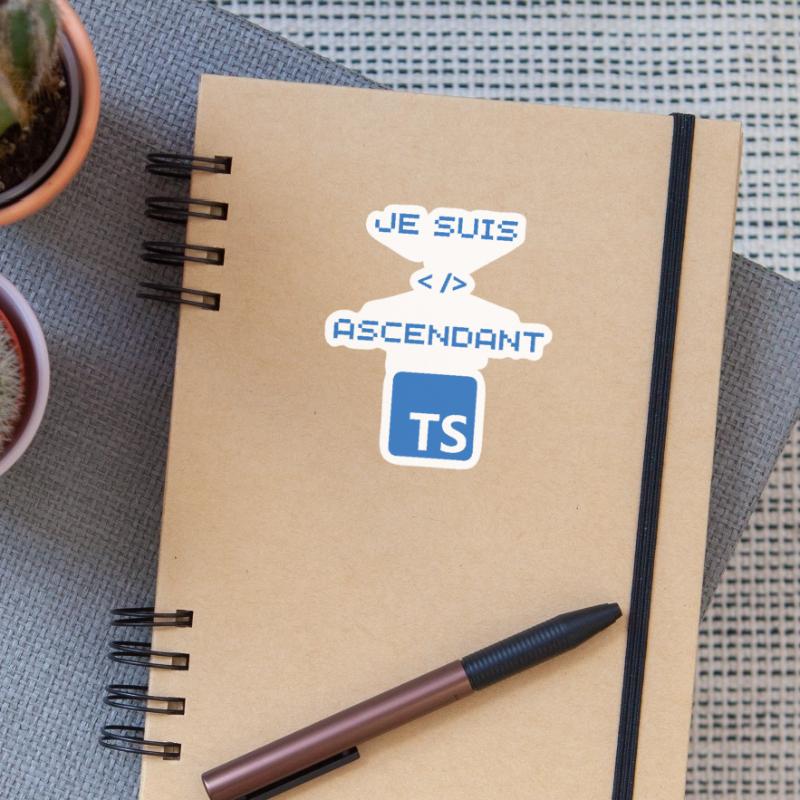 TS typescript developer gift Sticker size S (10 x 10 cm)