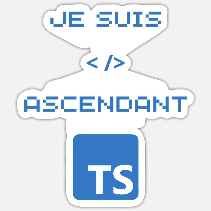 TS typescript developer gift Sticker size S (10 x 10 cm)