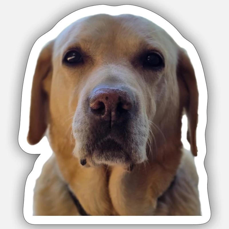 BELLA Sticker Größe S (10 x 10 cm)