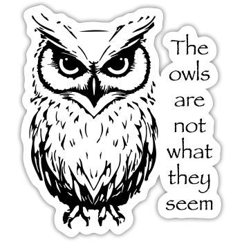 The owls are not what they seem - Sticker Größe S (10 x 10 cm) - Mattweiß - Vorne