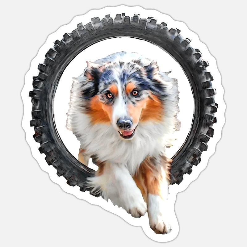 Australian Shepherd Agility - Sticker Größe S (10 x 10 cm) - Mattweiß