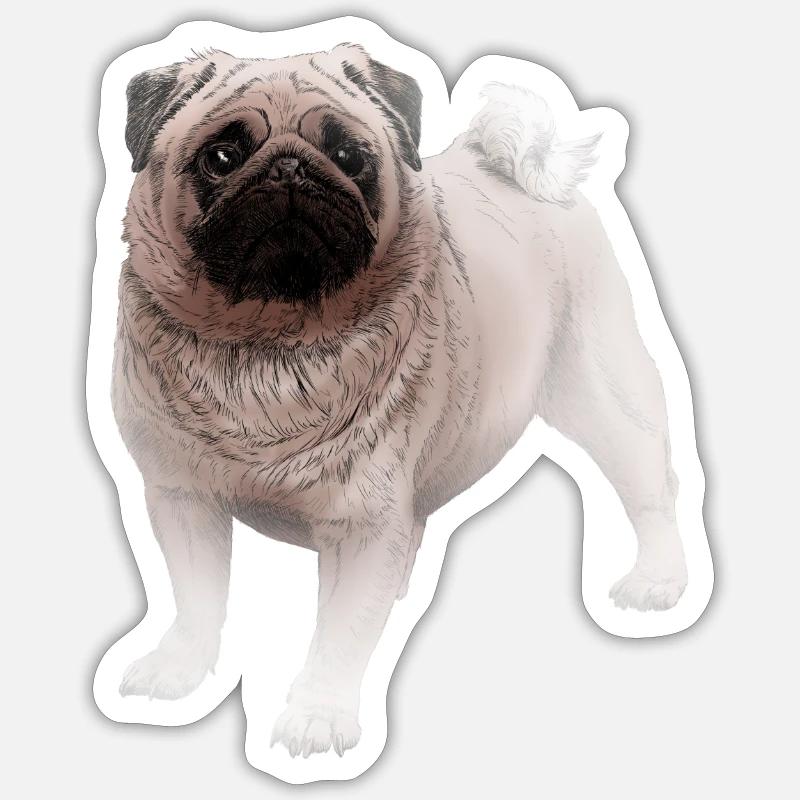 Pug - Sticker size S (10 x 10 cm) - white matte