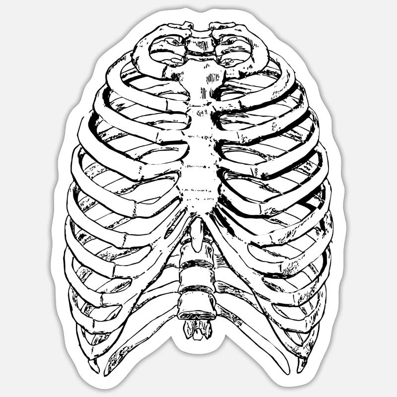 Thorax - Brustkorb. Ein tolles Geschenk Halloween - Sticker Größe S (10 x 10 cm) - Mattweiß