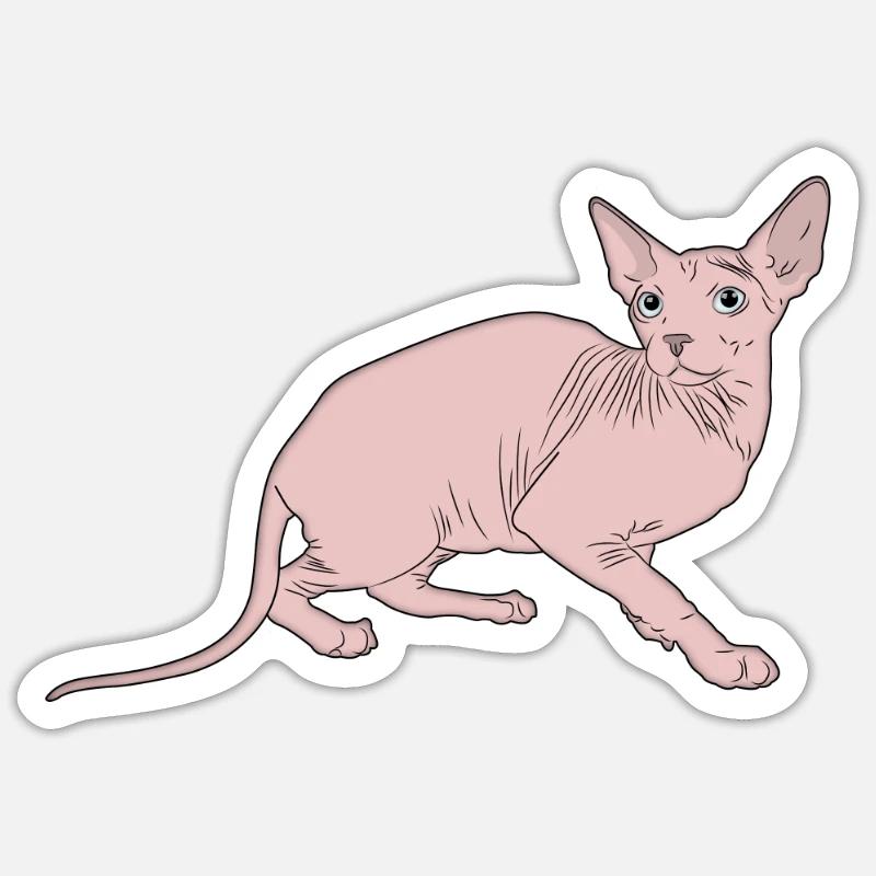 Chat Sphynx - Sticker taille S (10 x 10 cm) - blanc mat