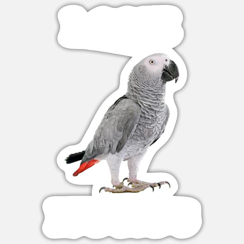 Grey Parrot Parrot - Sticker size S (10 x 10 cm) - white matte