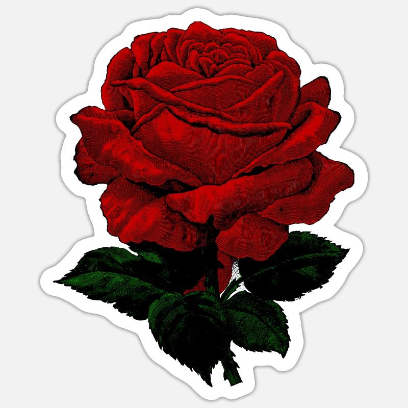 Sticker formato S (10 x 10 cm) - 