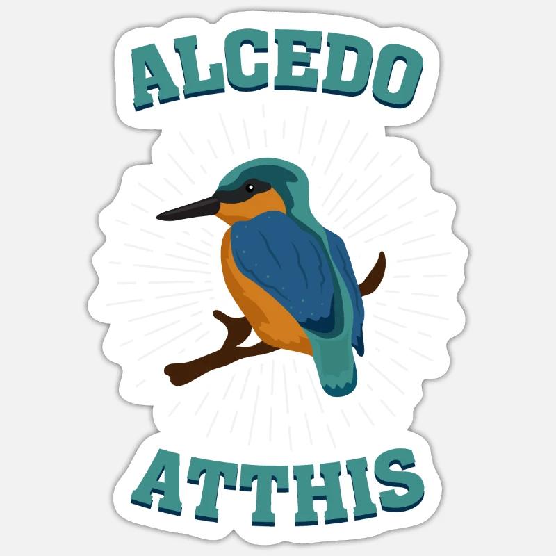 Alcedo atthis Eisvogel Kingfisher Vogelart - Sticker Größe S (10 x 10 cm) - Mattweiß