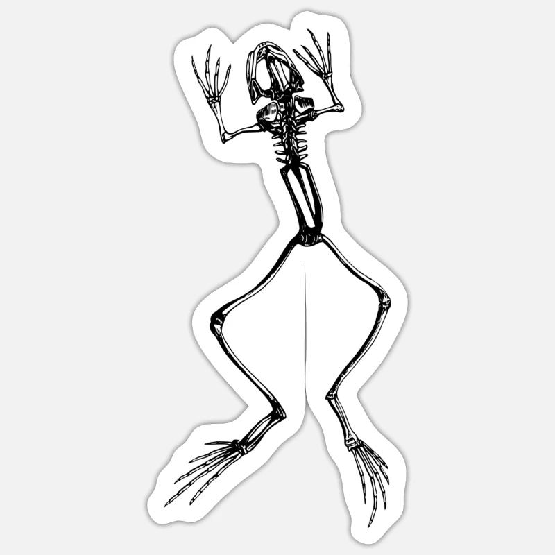 Frog skeleton in black Sticker size S (10 x 10 cm)