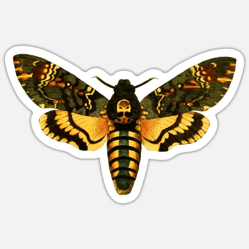 moth - Sticker size S (10 x 10 cm) - white matte