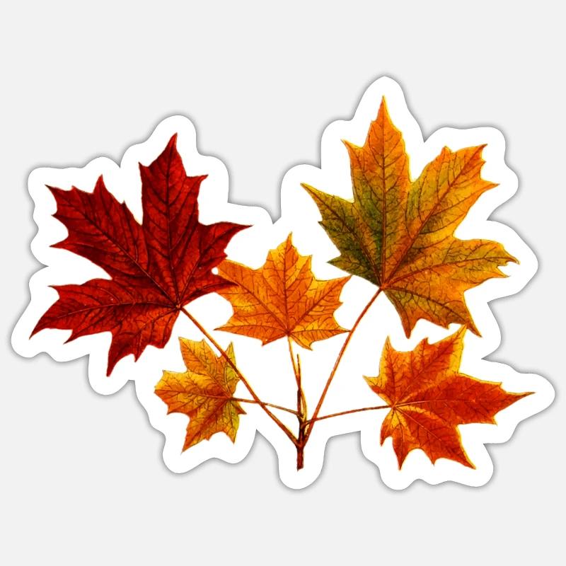 Maple Maple Leaf Maple Leaves - Sticker size S (10 x 10 cm) - white matte