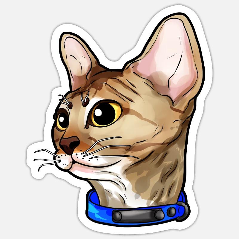 Devon Rex Cat Cat Face Cats Love Sticker size S (10 x 10 cm)