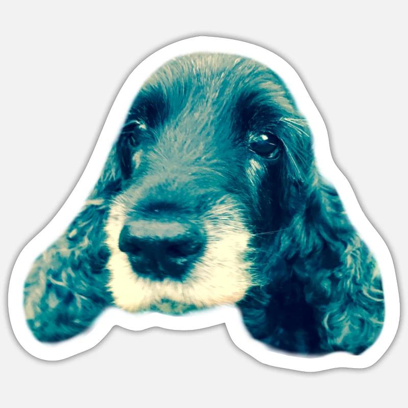 Cocker Spaniel - Sticker size S (10 x 10 cm) - white matte