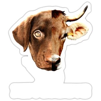 No Difference Pro Vegan Vegetan Tierschutz - Sticker taille S (10 x 10 cm) - blanc mat - Devant