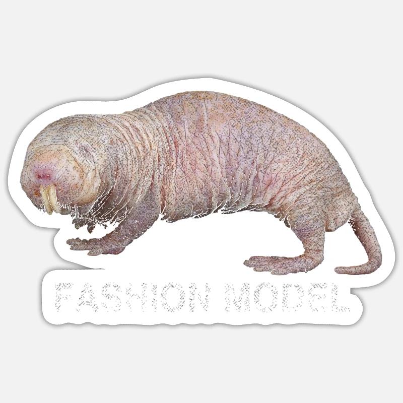 Animal nude mole mole Sticker taille S (10 x 10 cm)