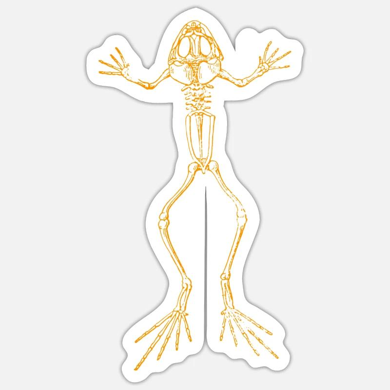 Frog Skeleton - Sticker size S (10 x 10 cm) - white matte